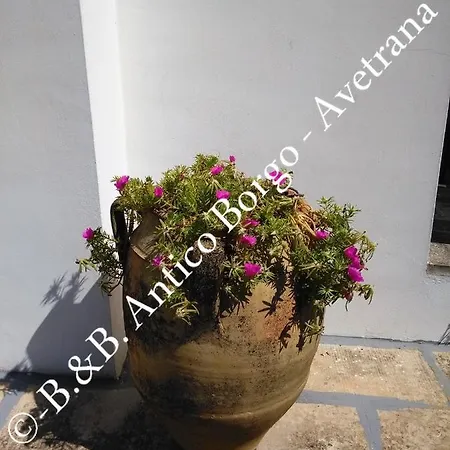 Antico Borgo B&B